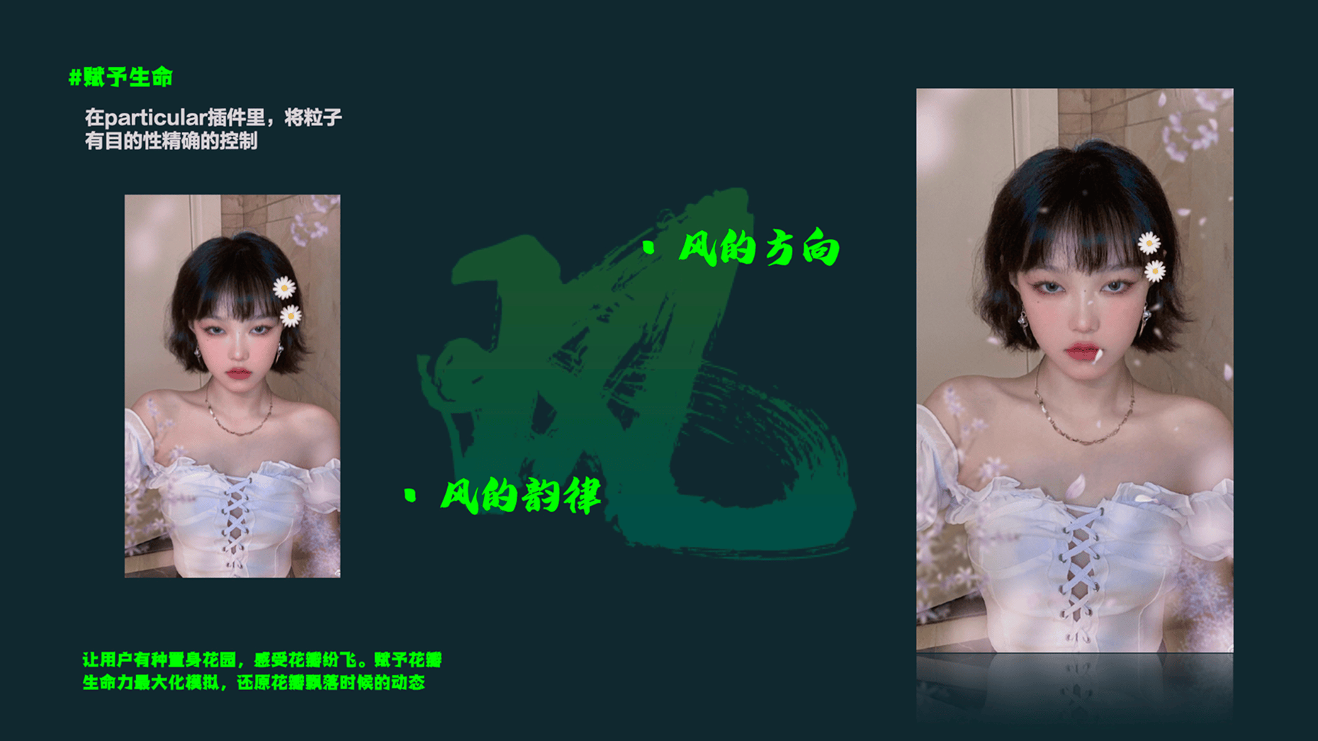 Weishi 16